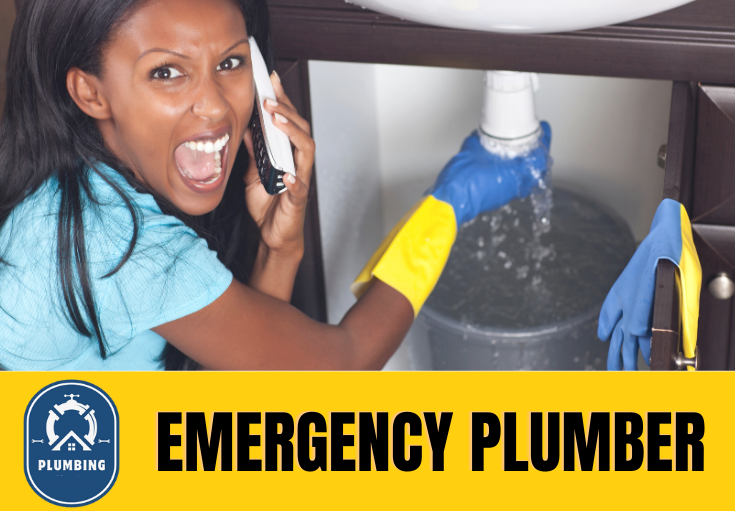 emergency plumber Ditton 
